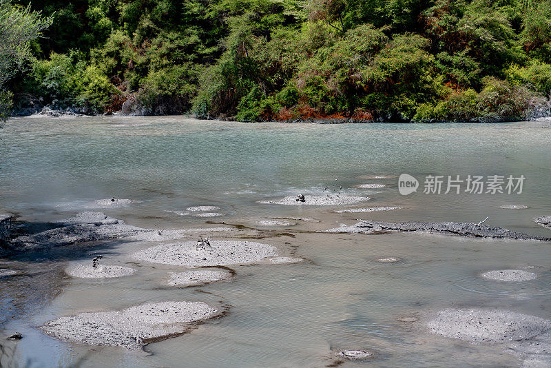 waio - tapu公园，罗托鲁瓦，新西兰